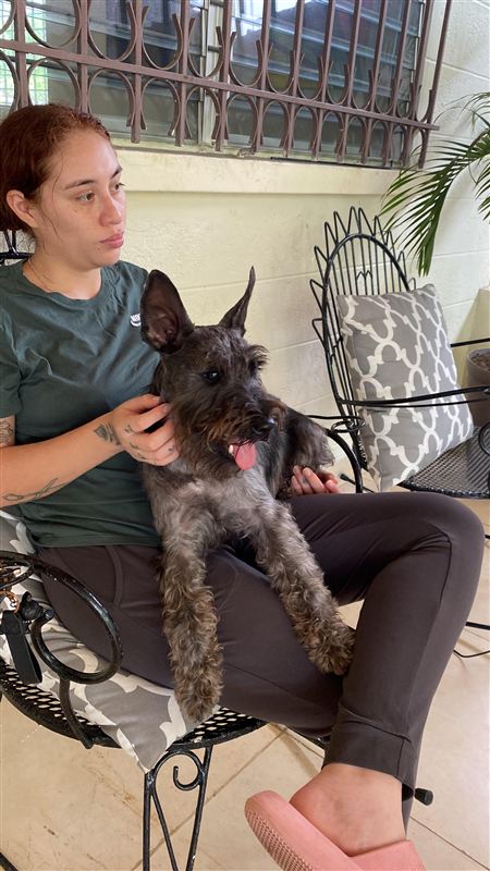 Peludos compartiendo comida